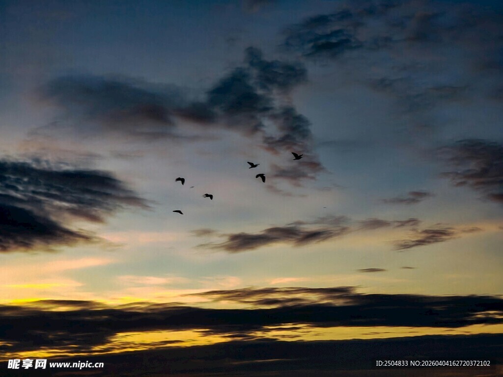 夕阳下飞鸟翱翔于天际