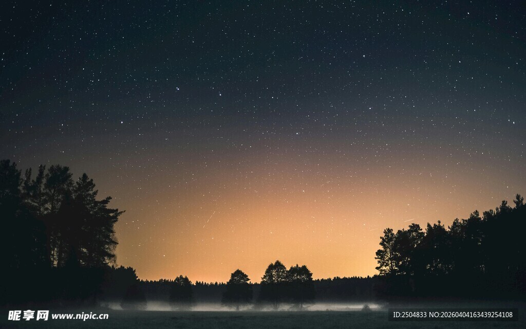 黄昏湖畔 树木与天际美景