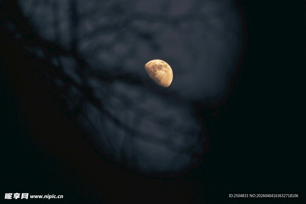 夜空中的朦胧月亮