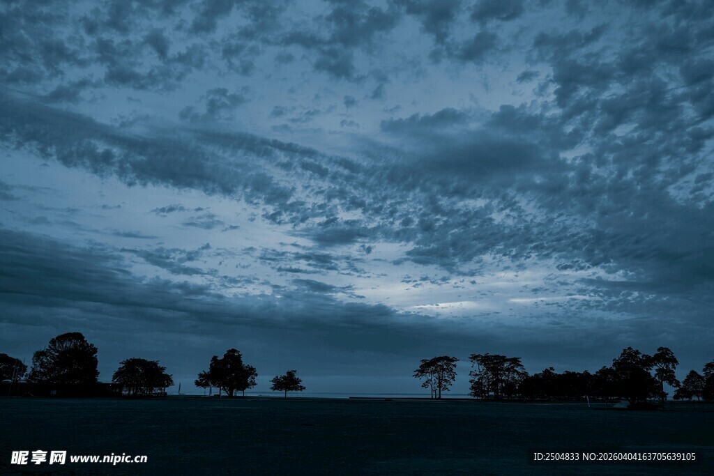 夜幕下的天空与树木剪影