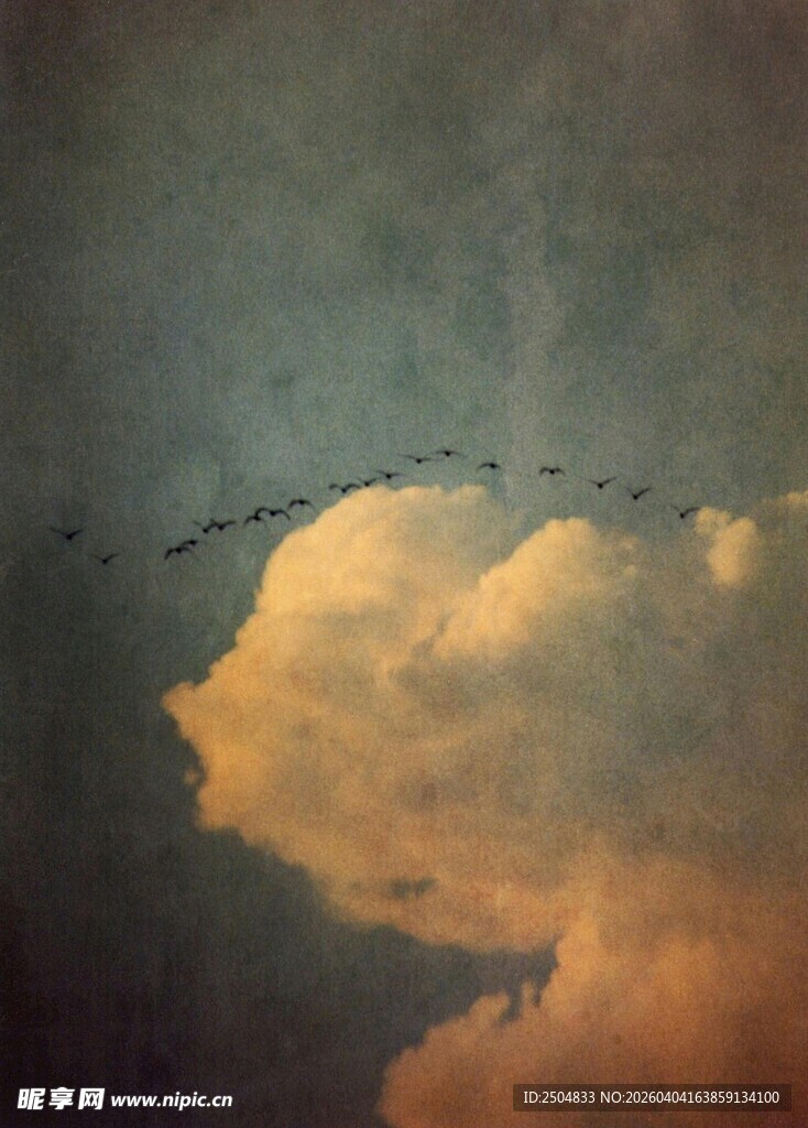 天空中飞翔的鸟与云朵