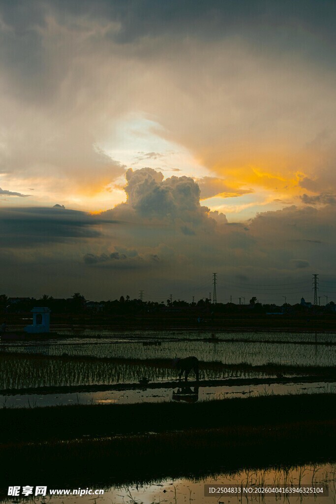黄昏下的田野与天空美景