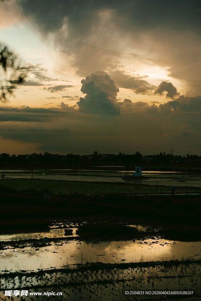 夕阳下的湿地美景