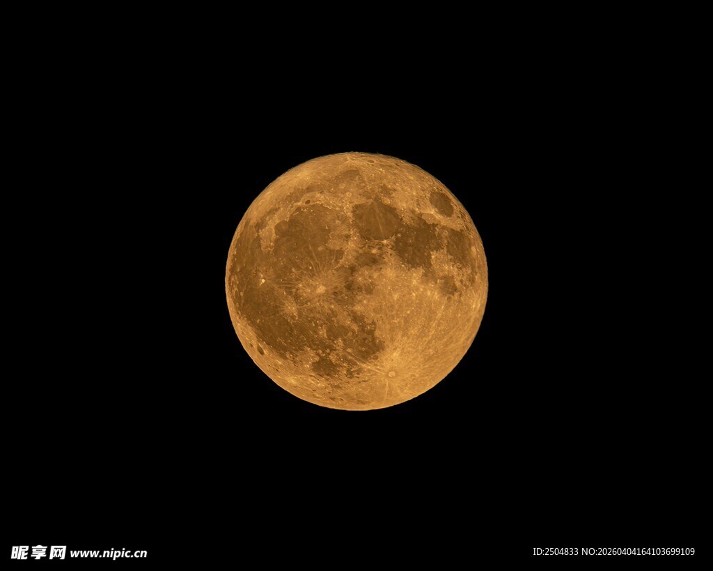 金黄满月悬于夜空