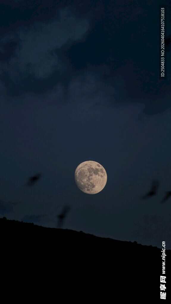 月夜飞鸟图