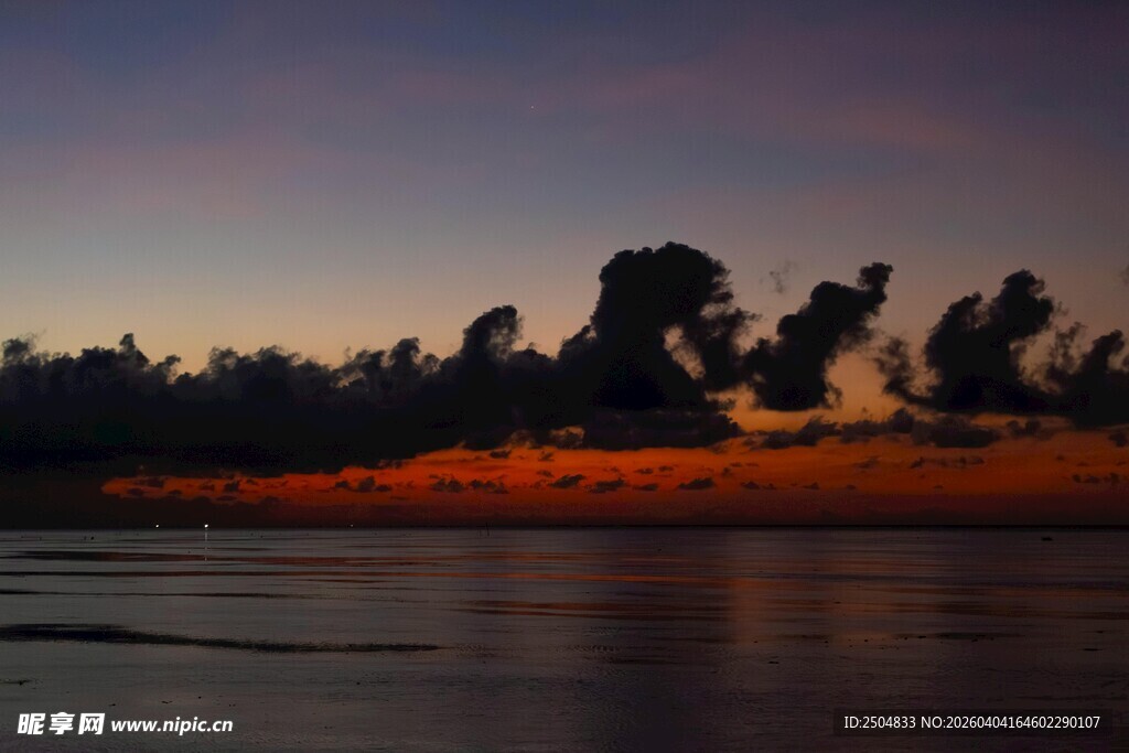 夕阳下的树木与水面倒影
