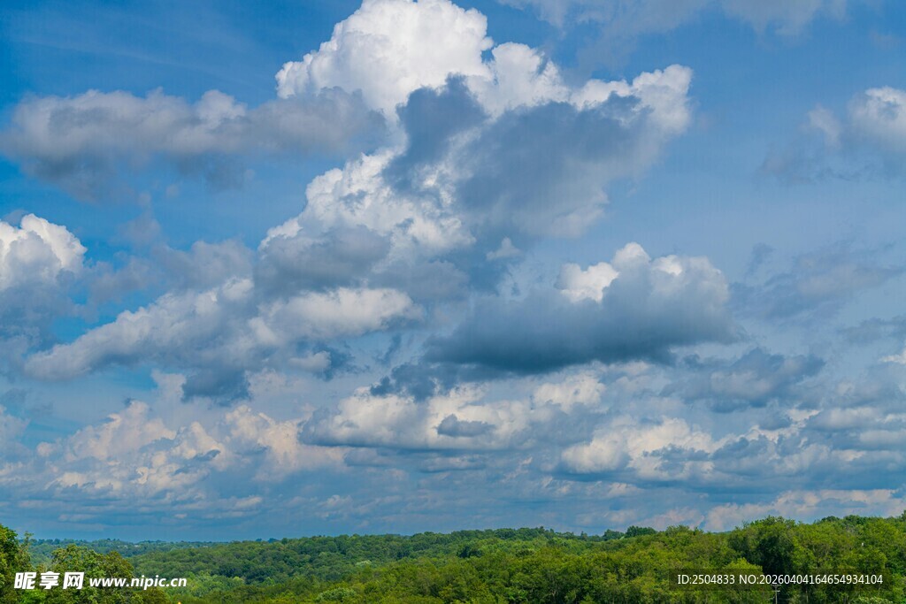 蓝天白云下的绿野风光