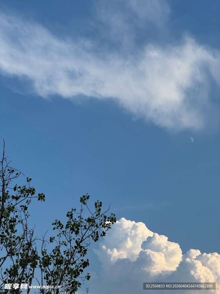 蓝天绿树间的蓬松云朵