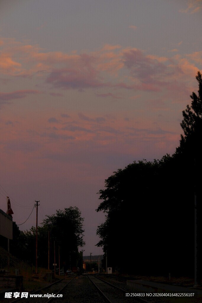 黄昏下的树木与天边云彩