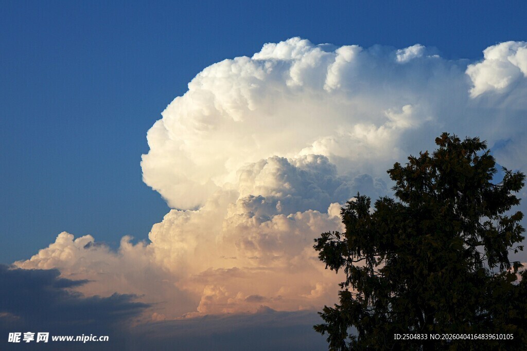 夕阳下的云朵与树木