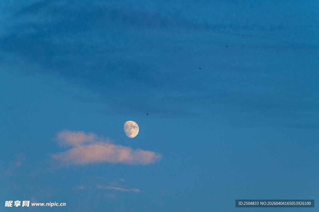 蓝天中高悬的明月