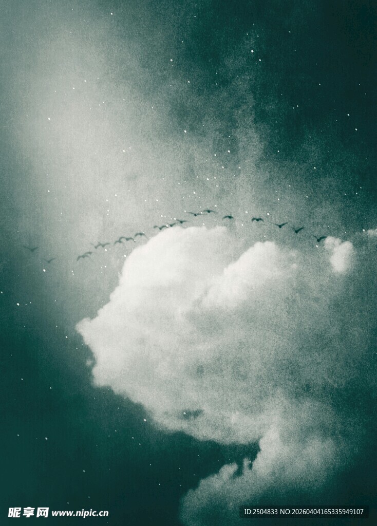 天空中的孤云飞鸟