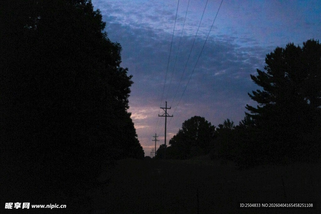 黄昏下的树林与电线杆