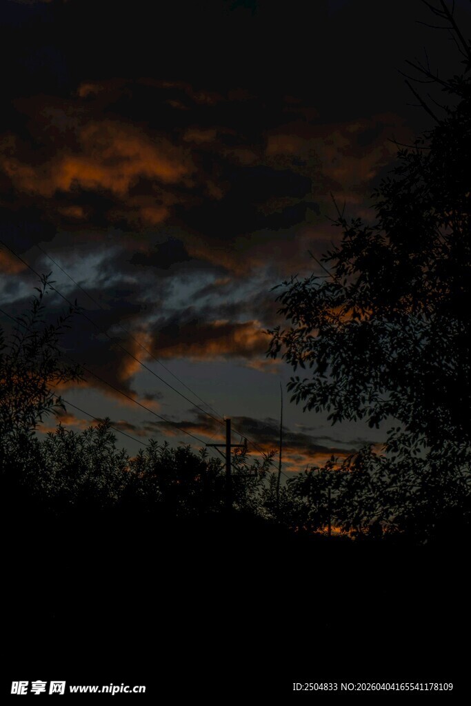 黄昏时分的天空与树影