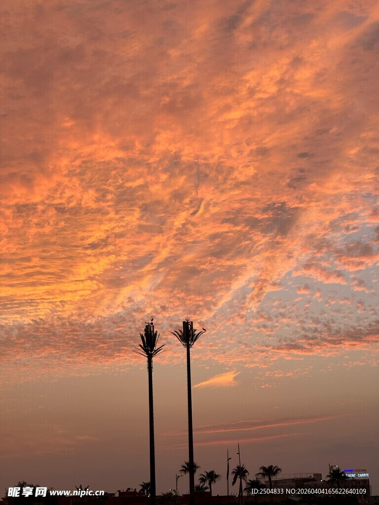 夕阳下的棕榈树与绚丽云彩