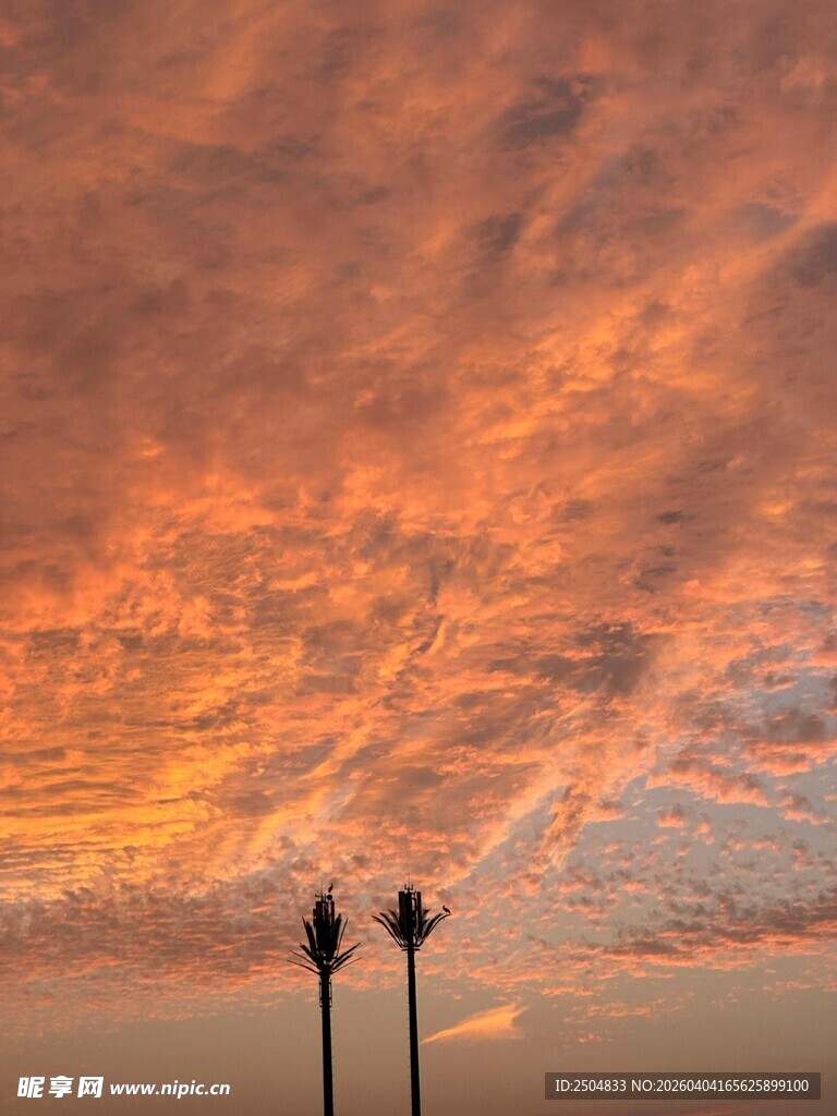 夕阳下的风车剪影