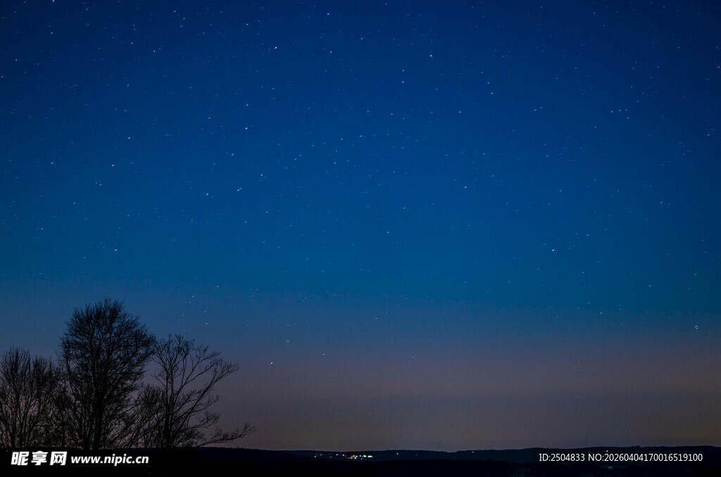夜幕下的树木与深蓝天空