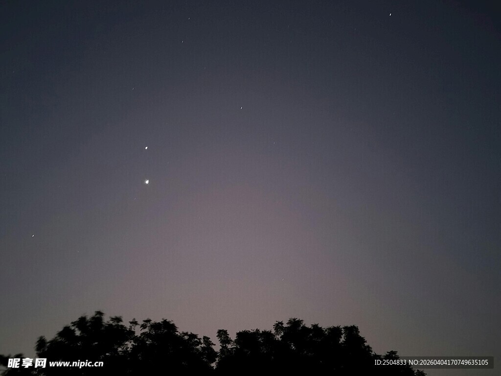 夜幕下的星星与树梢