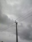 乌云下的电线杆与电线