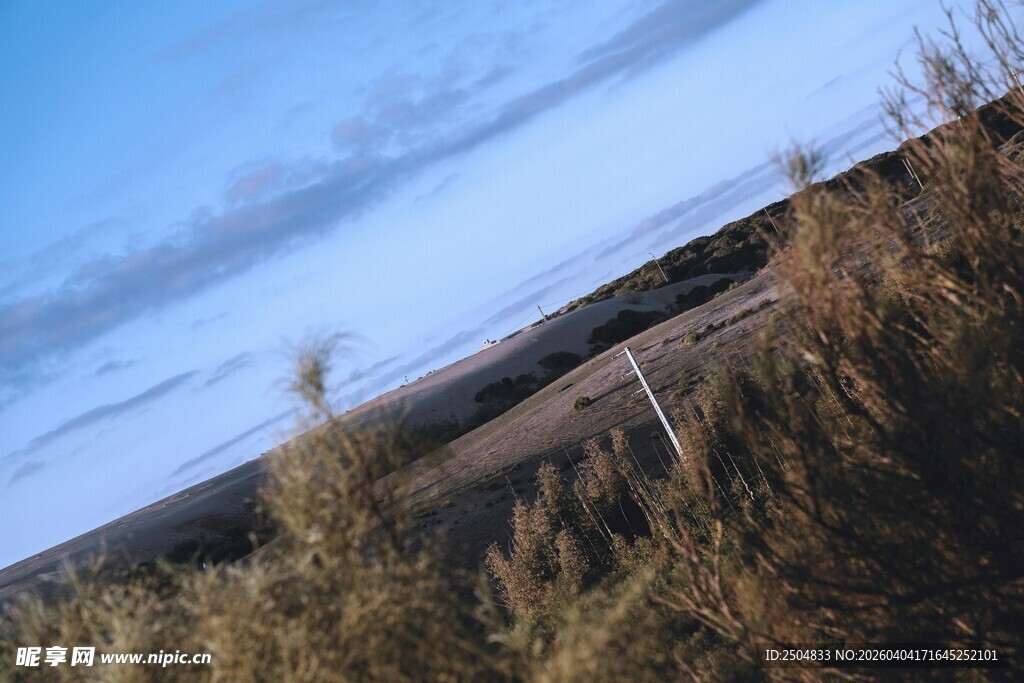 蓝天枯草间的自然景致