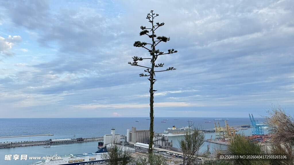 海边高耸的独特造型路灯