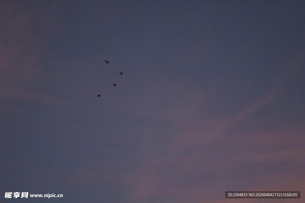 黄昏天空中的编队飞行物