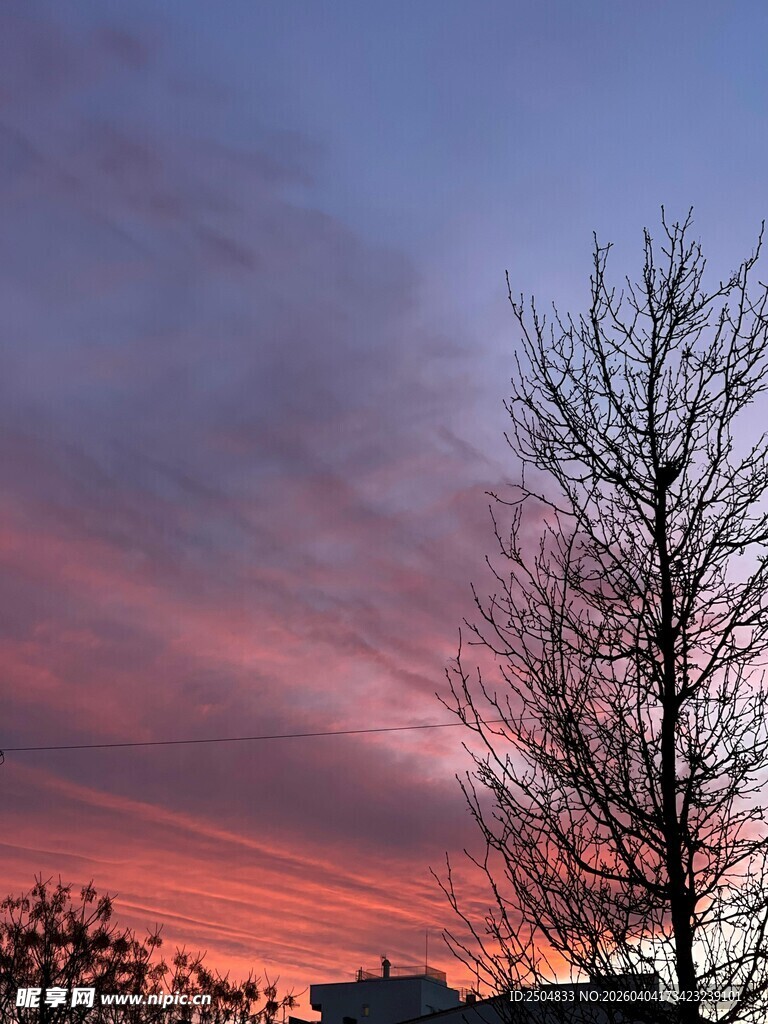 夕阳下的枯树与绚丽天空