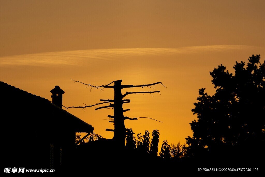 夕阳下的电线杆剪影