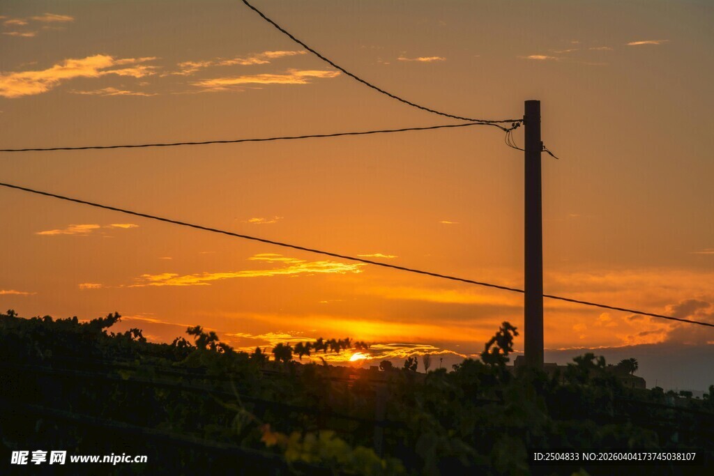 夕阳下的电线杆与电线