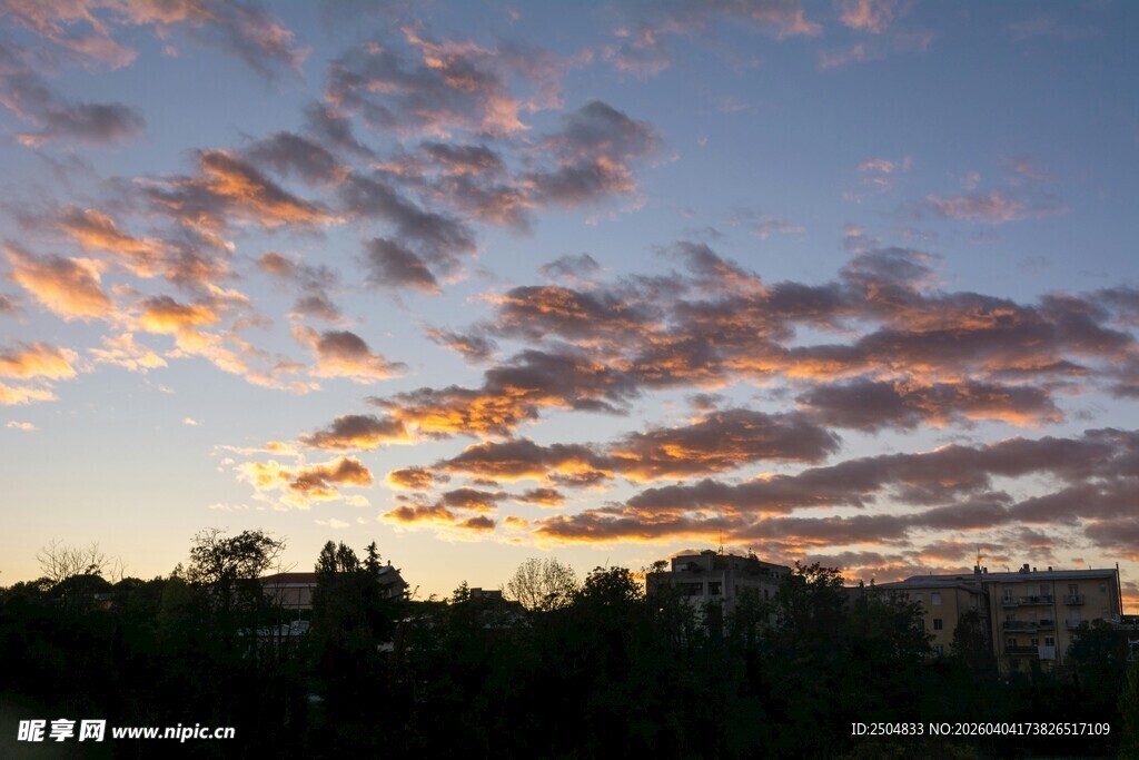 夕阳下绚烂云彩与树影