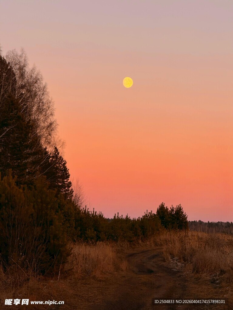 夕阳下的树林与天边明月