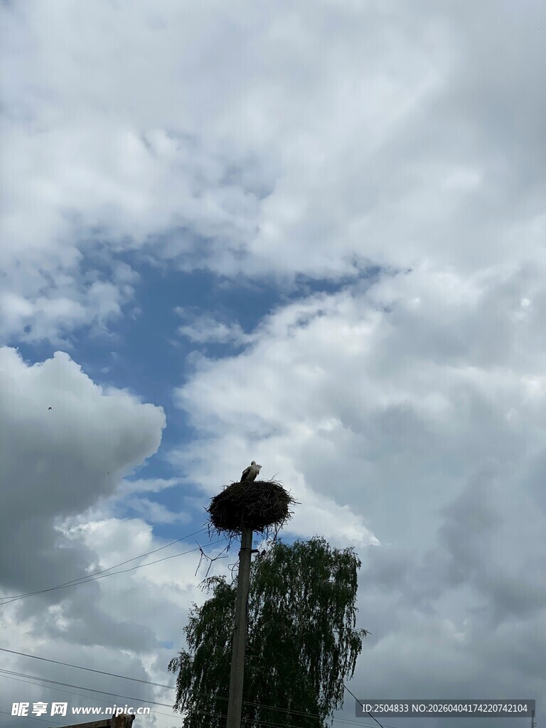 蓝天绿树间的独特建筑