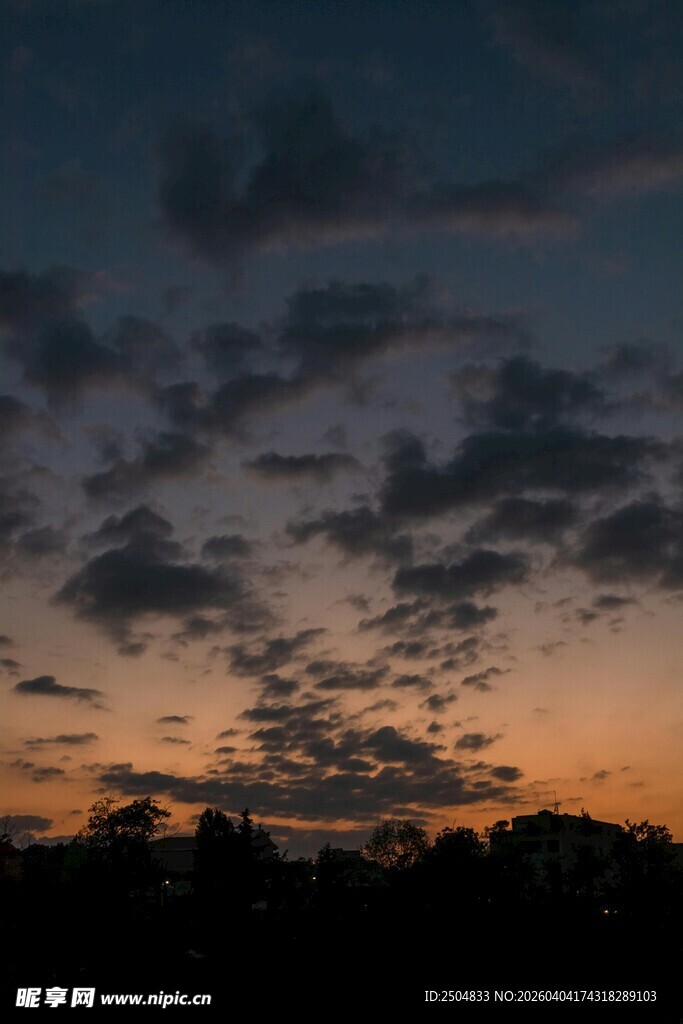 黄昏时分的云霞与树林