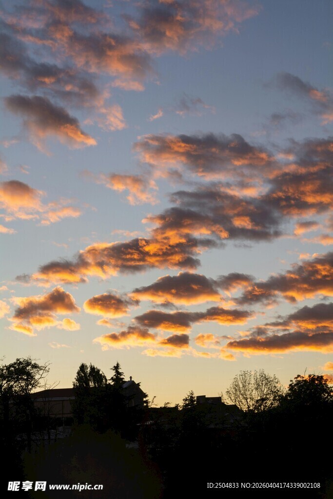 夕阳下绚烂云彩与树木