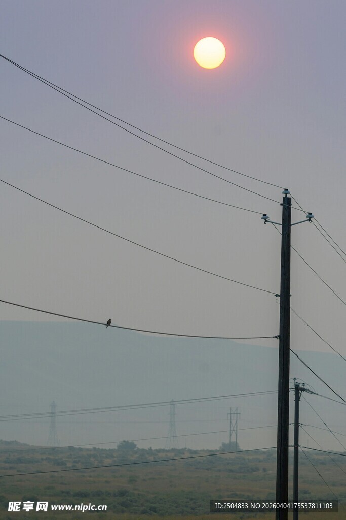 夕阳下的电线与田野