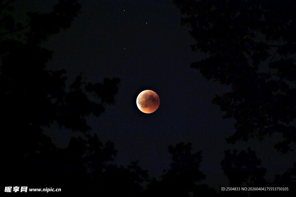 夜空中的红月奇观