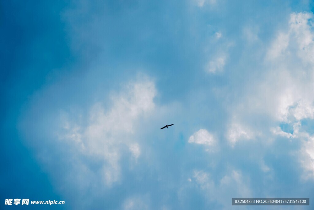 蓝天下翱翔的飞机