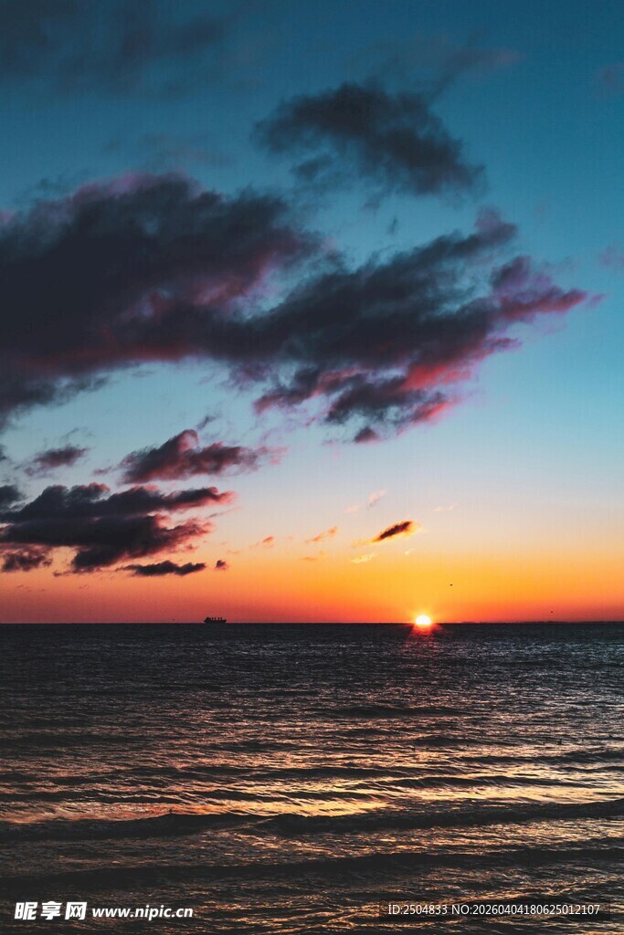 海上日落美景 飞鸟相伴