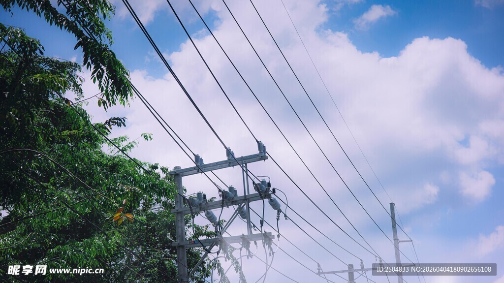 蓝天白云下的电线与绿树