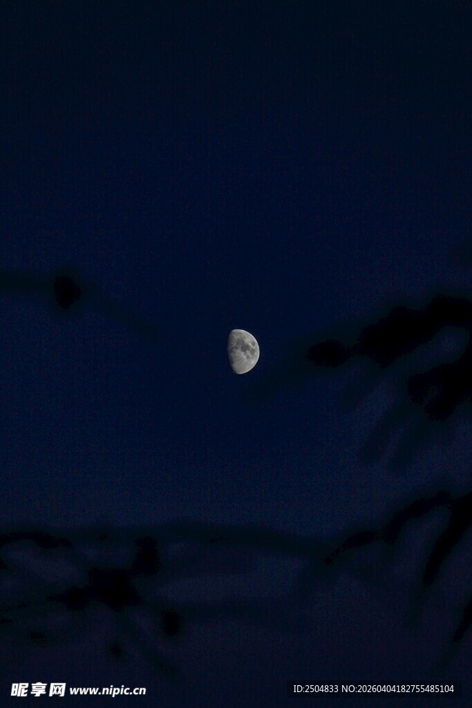 夜空下的弯弯新月