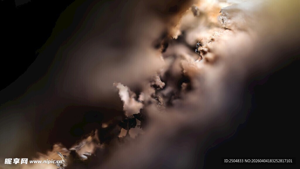 太空中的壮丽星云景观