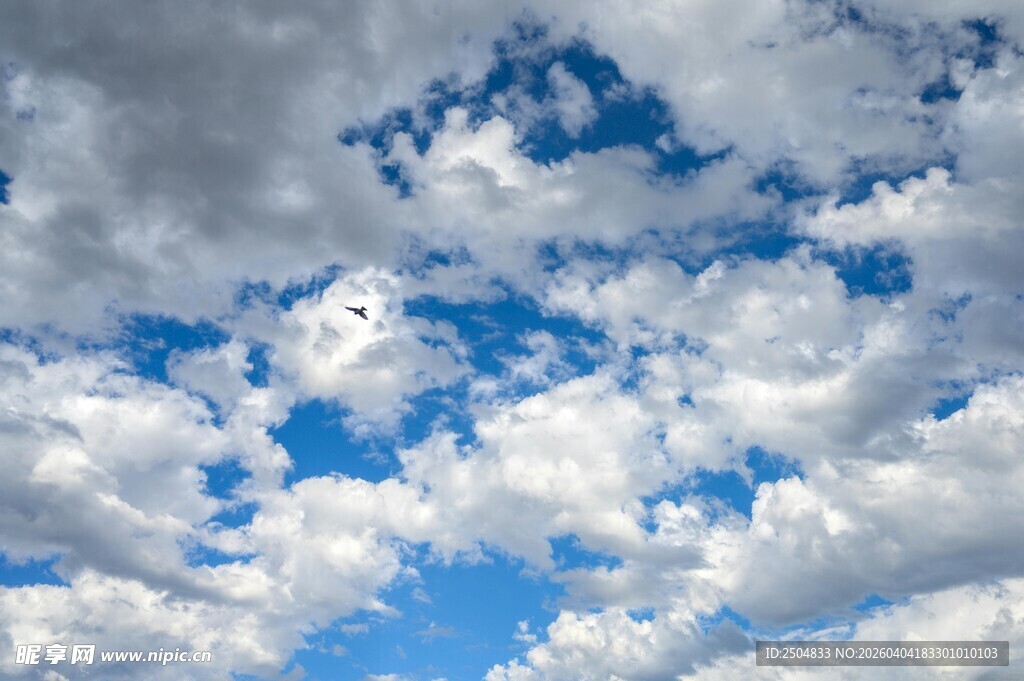 蓝天下的白云与飞鸟