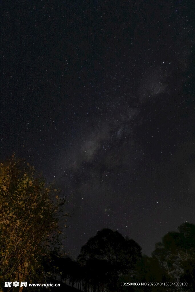夜空下的树林与璀璨星河