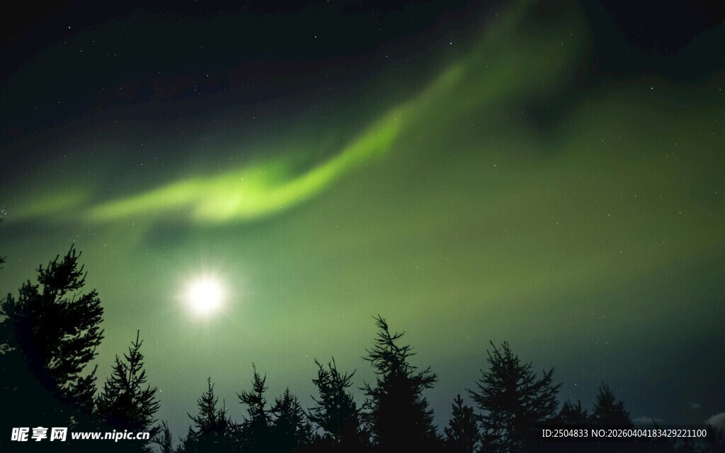 夜空中的绿色极光与树木
