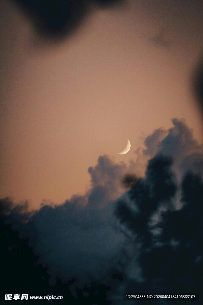 夕阳下的云与树木剪影