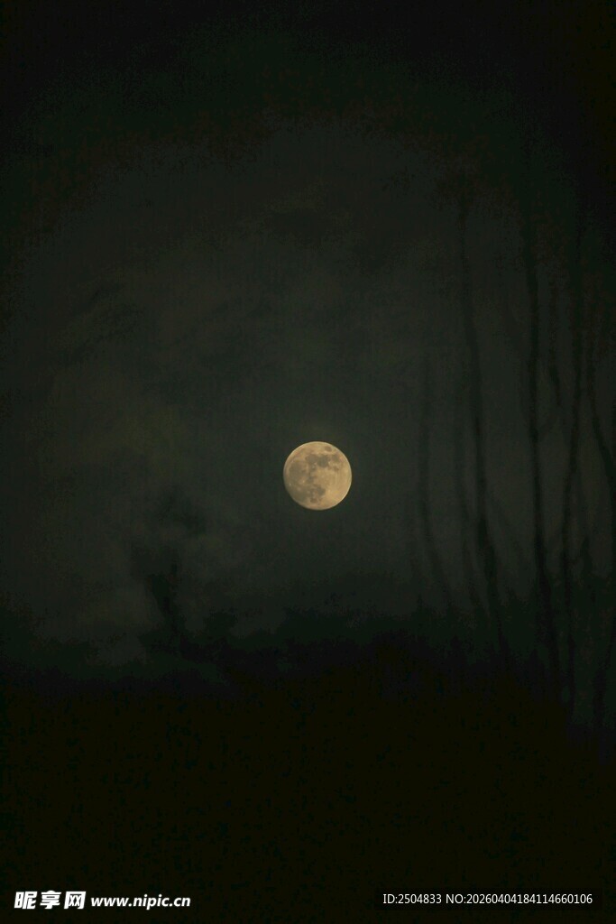 月夜下的静谧景象
