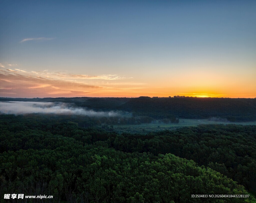 日出下的森林与云海景观