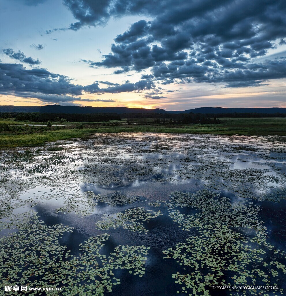 湖畔日落美景 水草映霞光