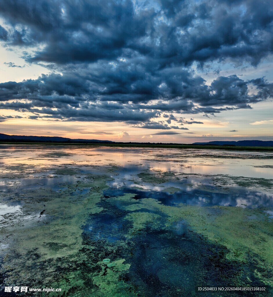 黄昏下的湿地风光