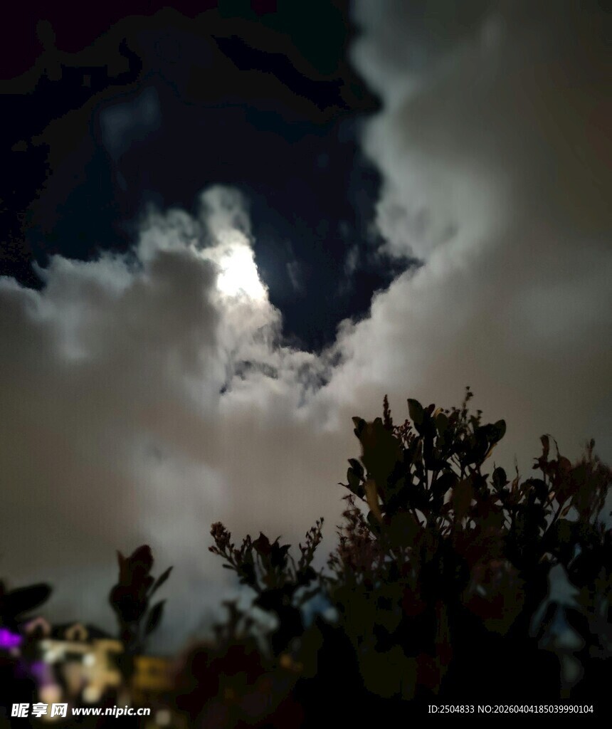 夜空下的云层与树木景观